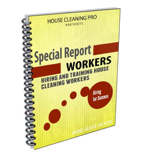 Hiring Employees and Workers Book Cover