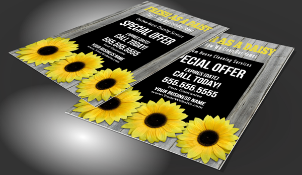 Cleaning Company Flyers