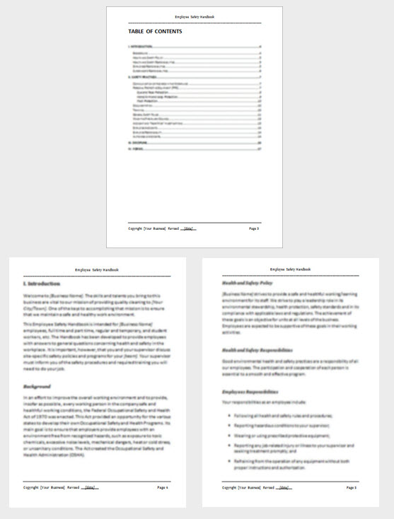 Employee Safety Handbook Template