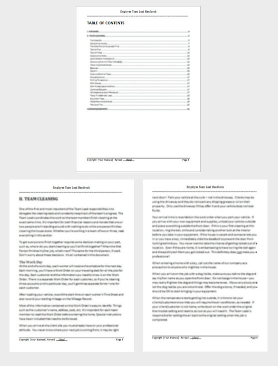 Team Lead Manual